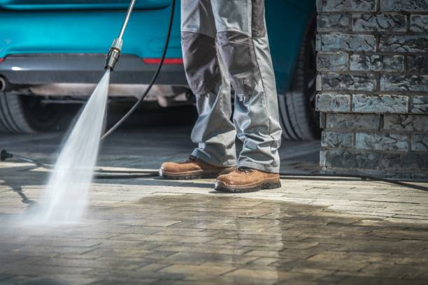 Best Paint Preparation  in Canyon Lake, TX